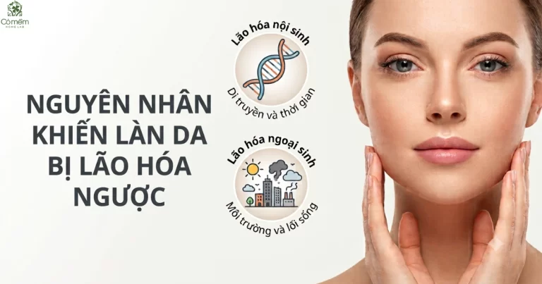 Booster Là Gì? Công Dụng Và Cách Sử Dụng